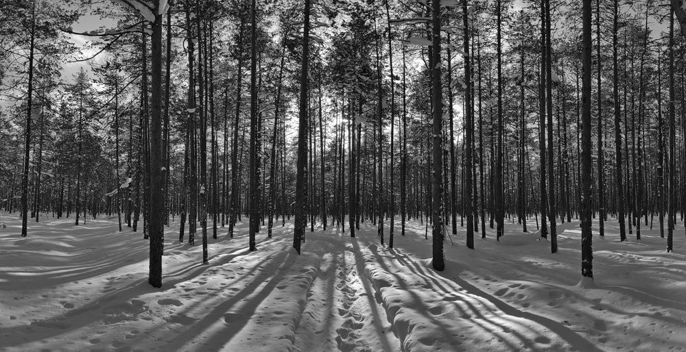 Photograph by ANDREY PERESHEIN