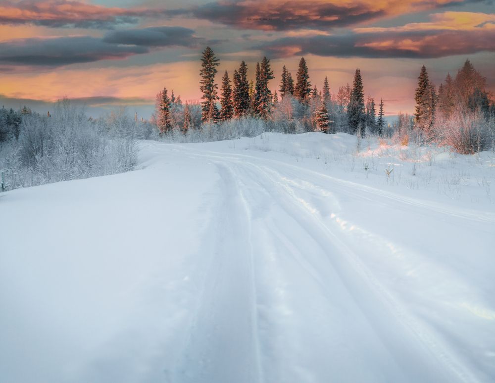 Photograph by Дмитрий Шавловский