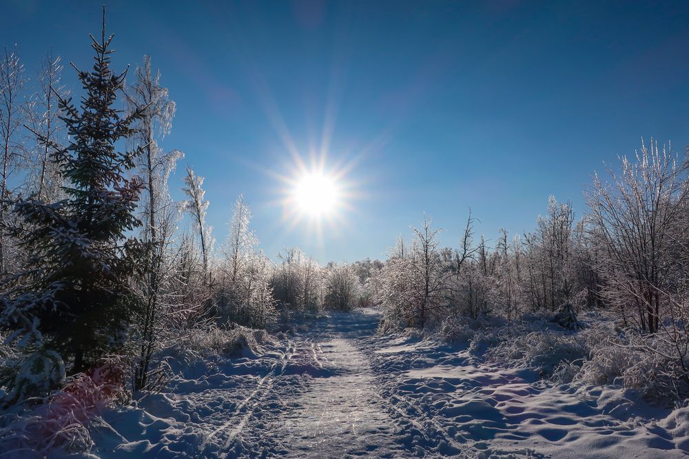 Photograph by Ильсияр Григорьева