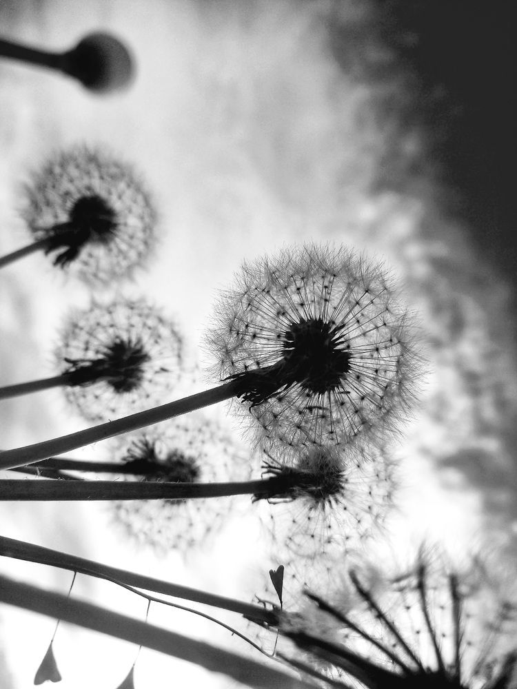 Photograph by Елена Дарьенко