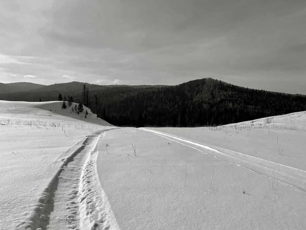 Photograph by Жанна Каргаполова
