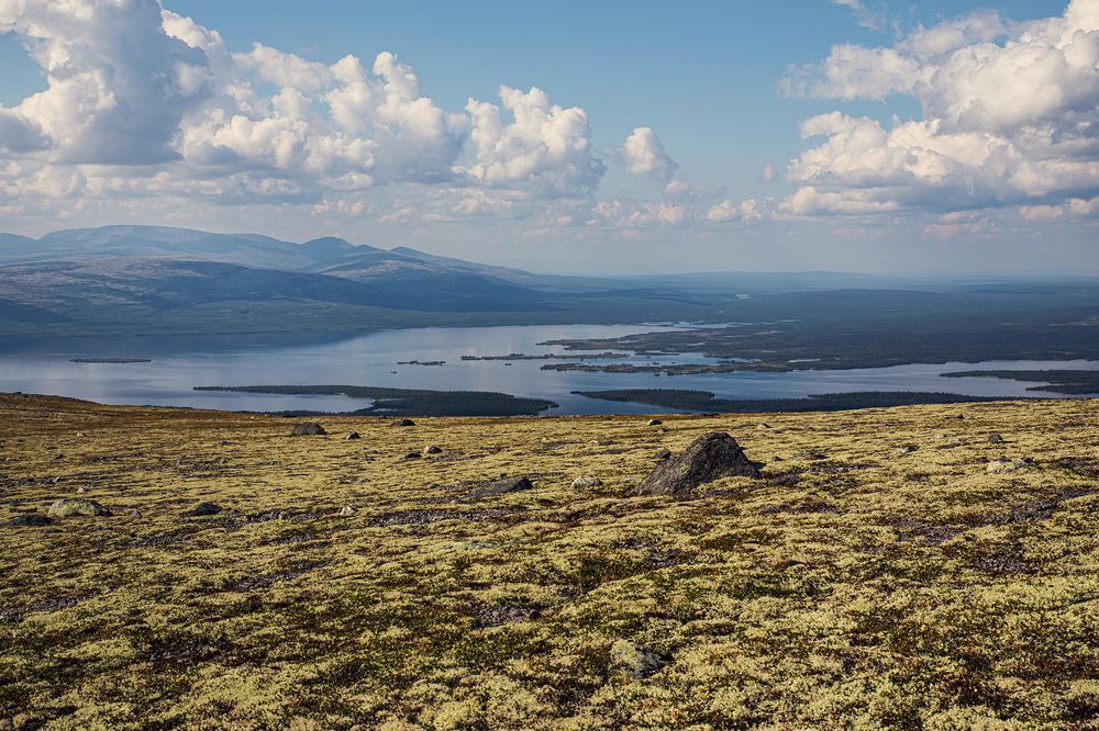 Photograph by IULIIA VARAKSINA