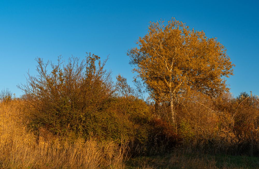 Photograph by Юлия Гробовенко