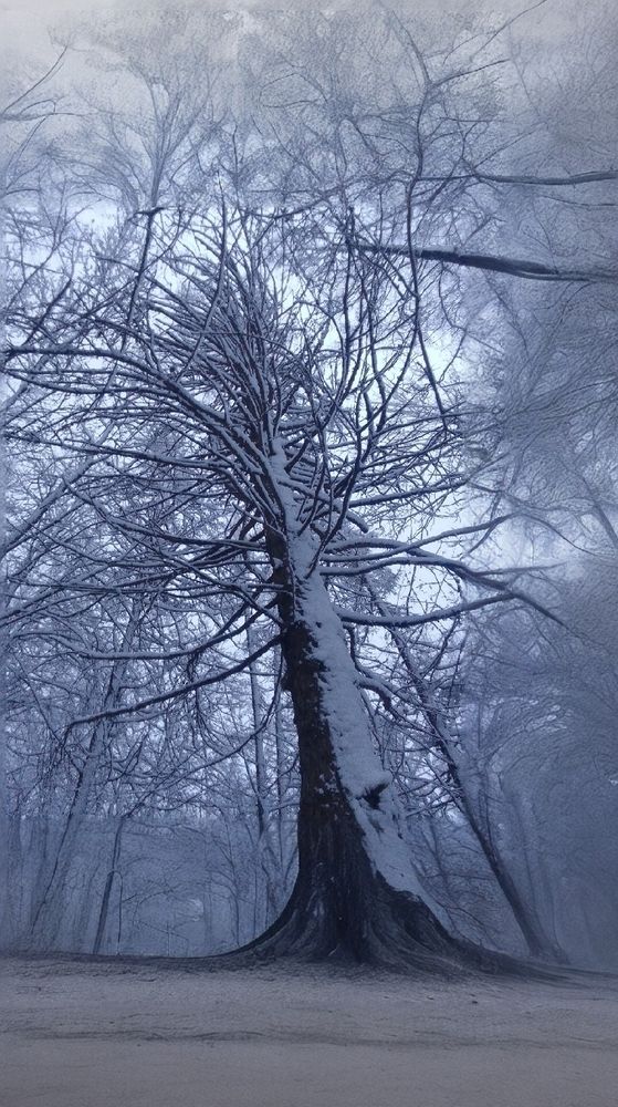 Photograph by Александр