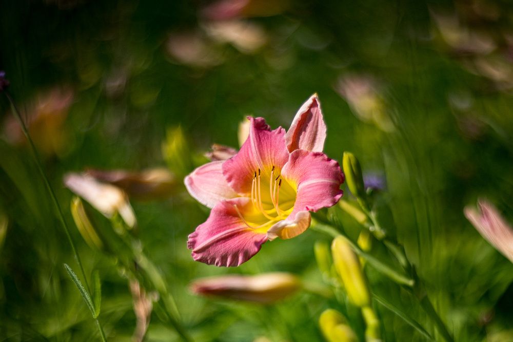 Photograph by Алексей Кацан