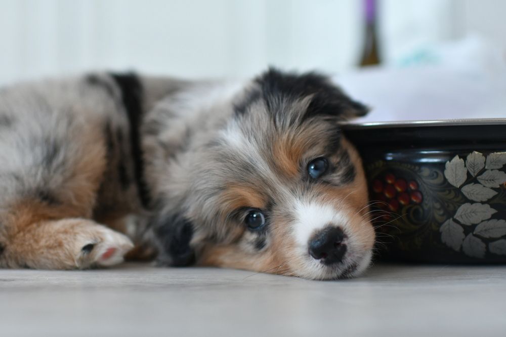 Photograph by Владимир Колесников