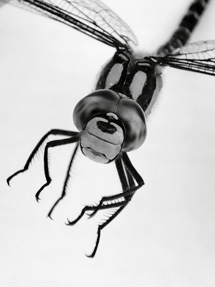 Photograph by Ольга Иванова