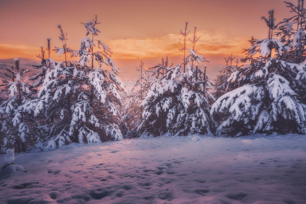 Photograph by Dobromir Dragomirov