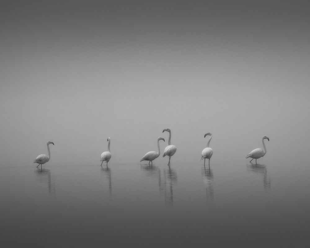 It All Starts With a Lullaby