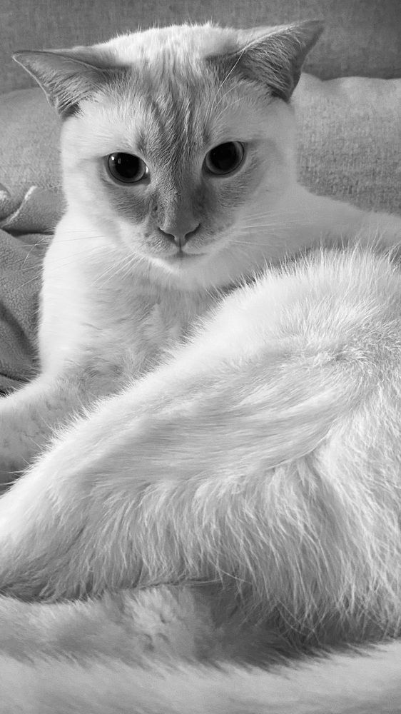 Photograph by Tatjana Schlag