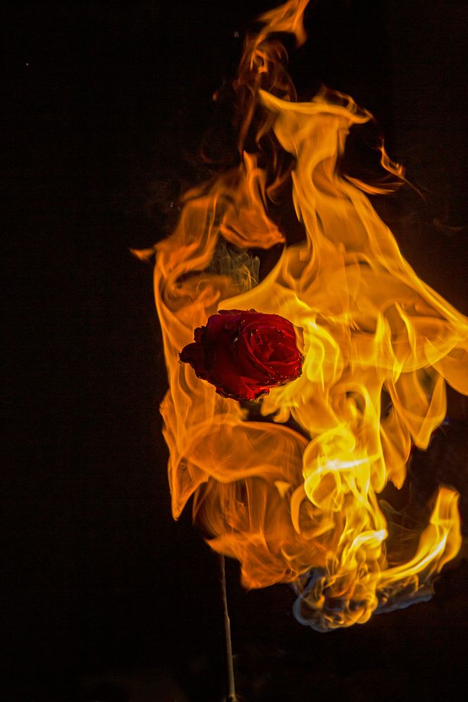 Photograph by Сергей Луцевич