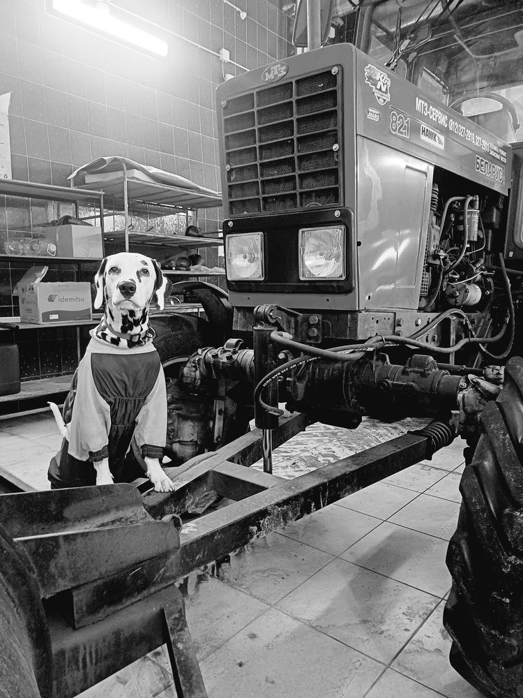 Photograph by Марина Виноградова