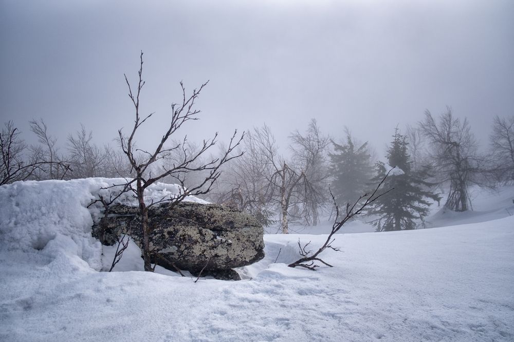 Photograph by Евгений Кузнецов