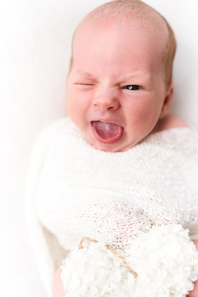 Фотография автора Svetlana Cozlitina