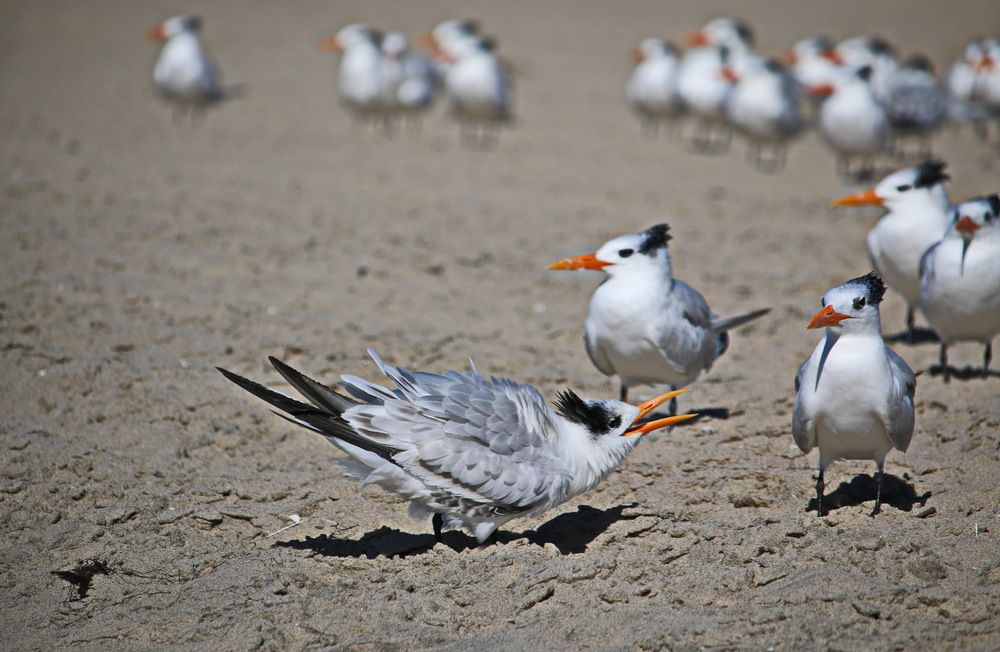 Фотография автора Анна Данилова