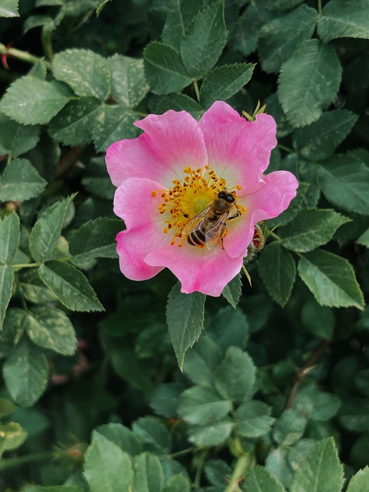 Photograph by Олена Уманцева