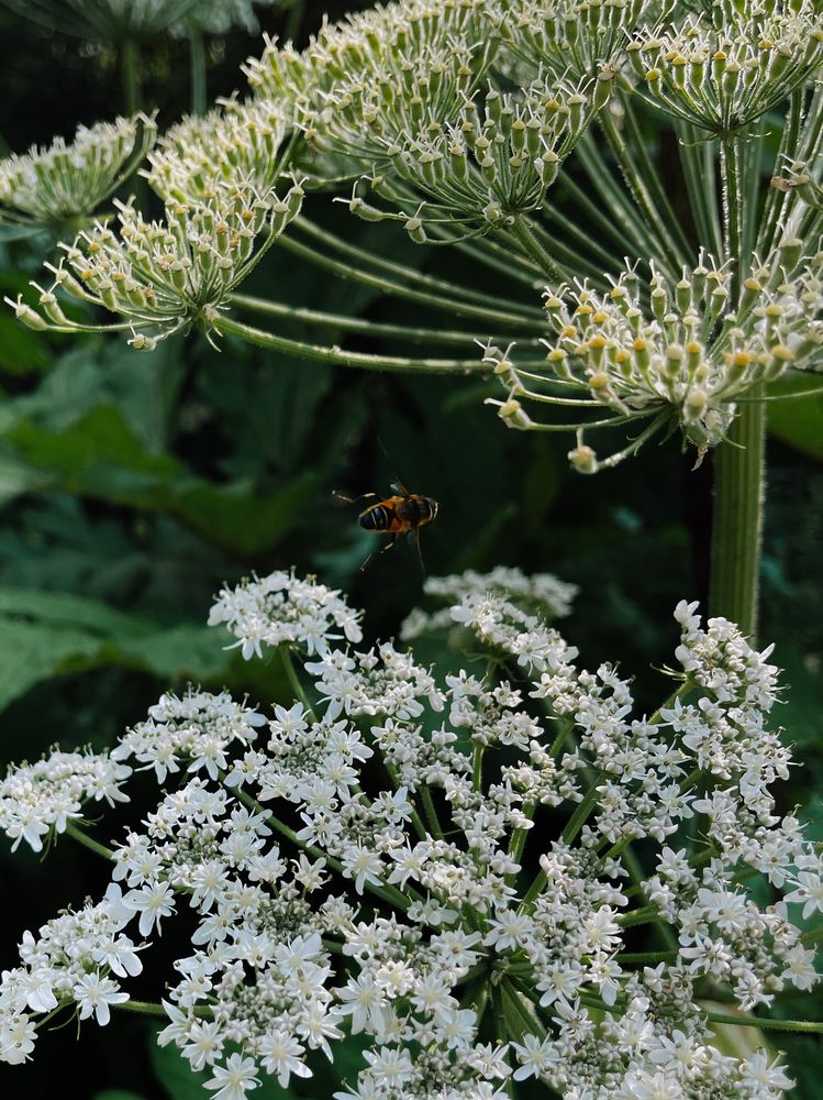 Photograph by Олена Уманцева