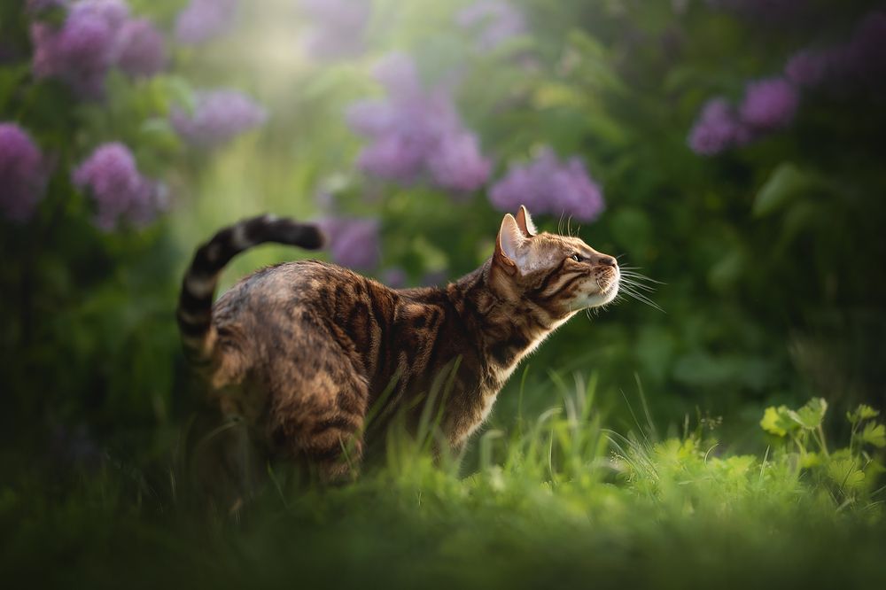 Photograph by Людмила Богуш