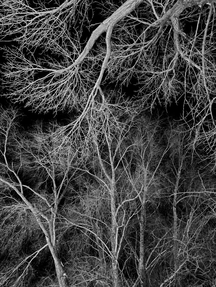 Photograph by Любовь Иванова