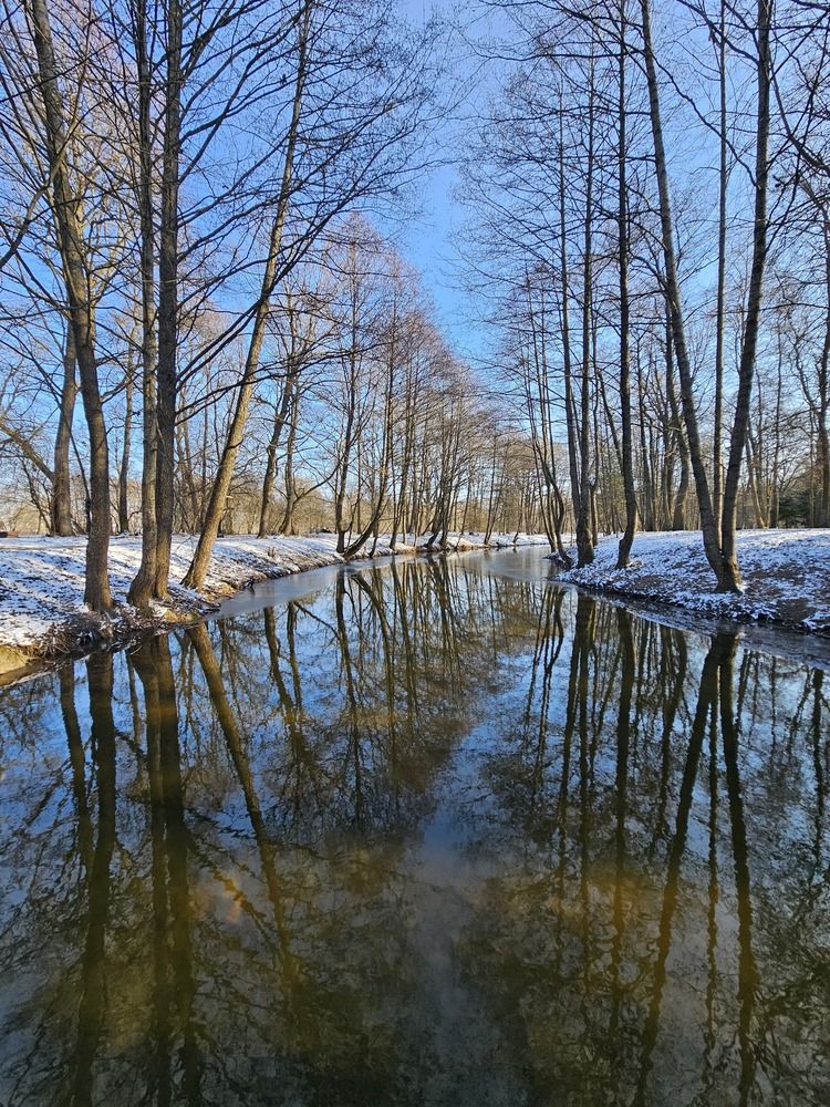 Фотография автора Мария Рудаковская