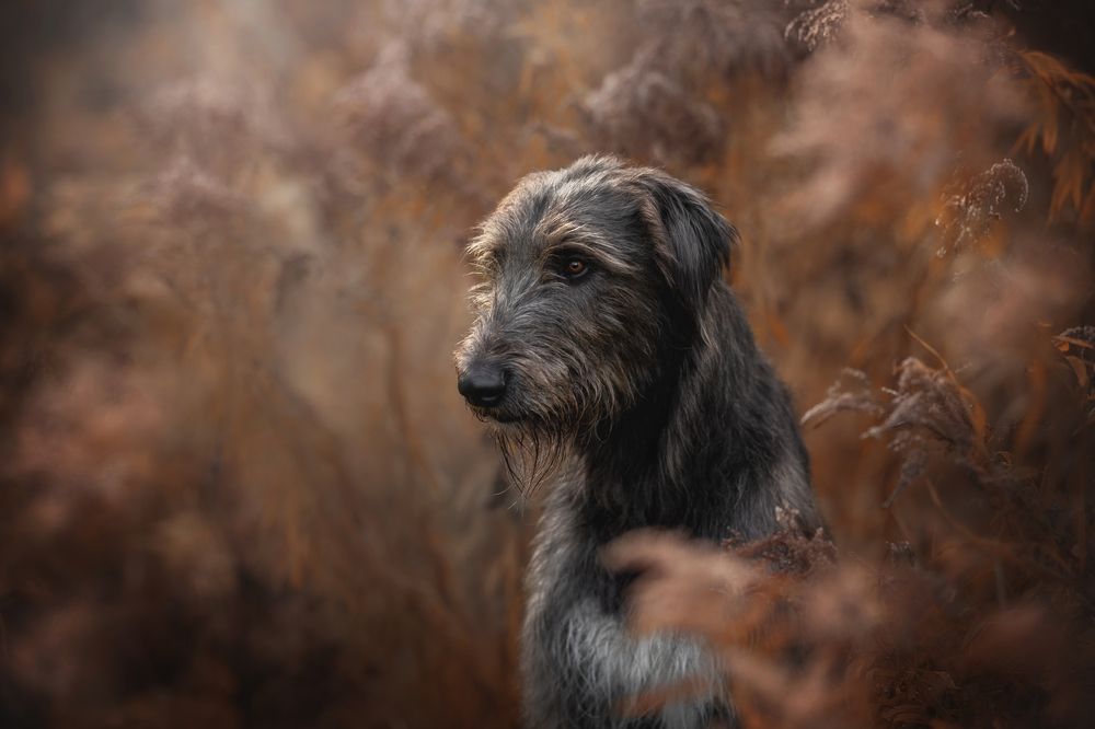 Photograph by Людмила Богуш