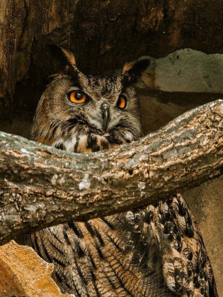 Photograph by Игорь Кабанов