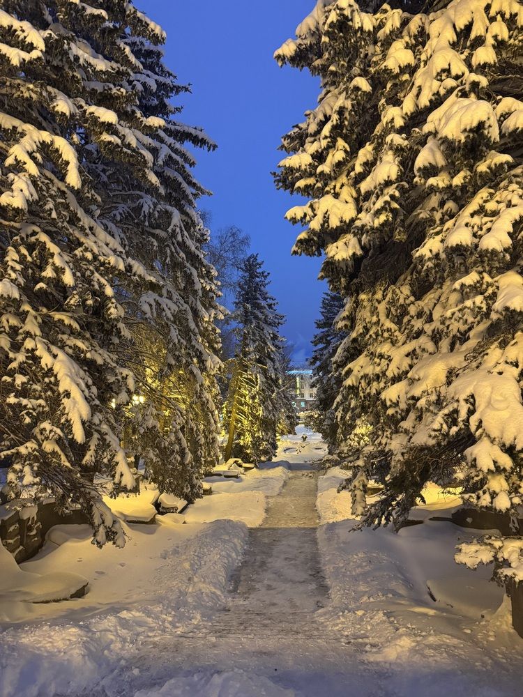 Photograph by Бойкова Наталия