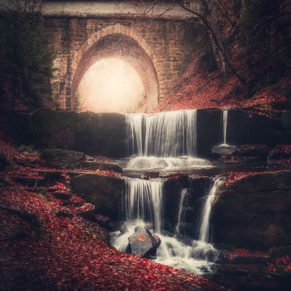 Photograph by Dobromir Dragomirov