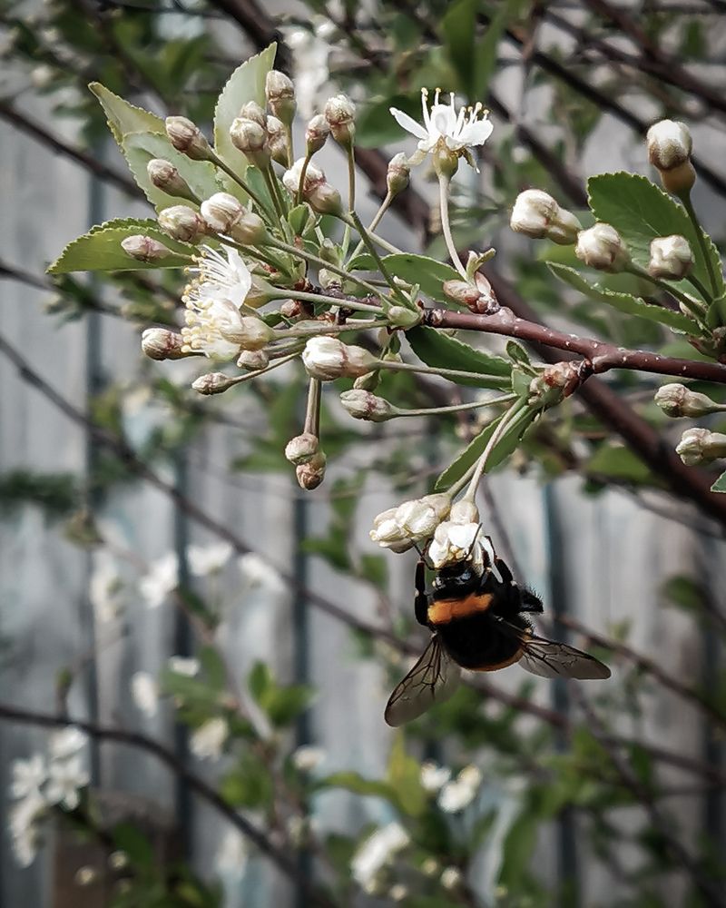 Photograph by Oxana Kostsova
