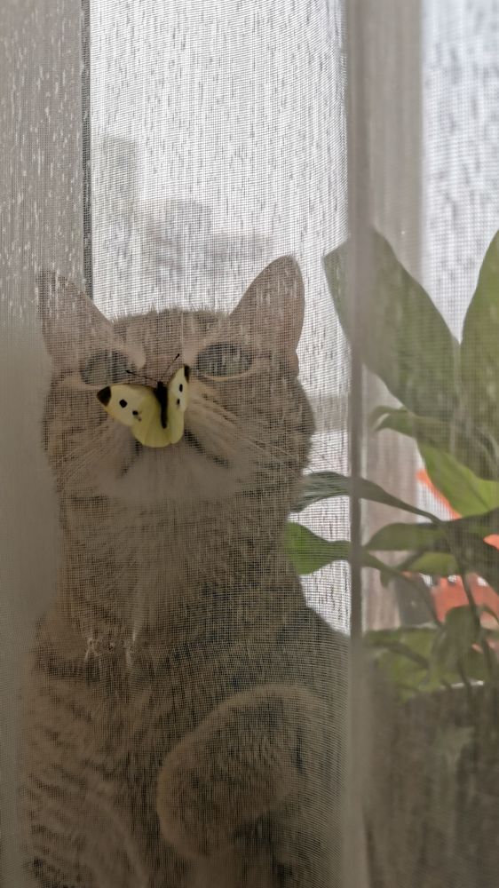 Photograph by Oxana Kostsova