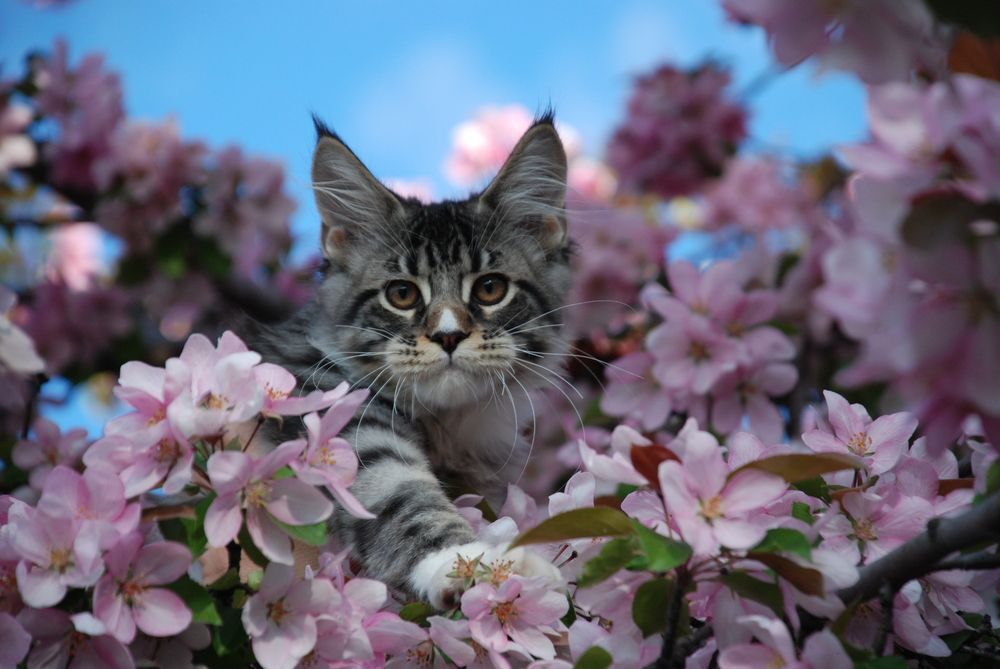 Photograph by Владимир Колесников