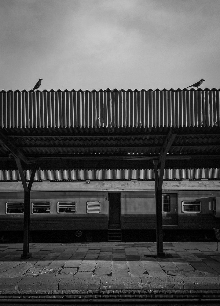 Photograph by Laddu Sasindu Pramuditha De Silva