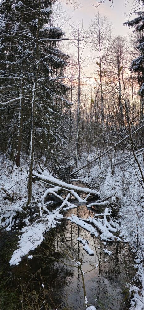 Фотография автора Александр Петуховский