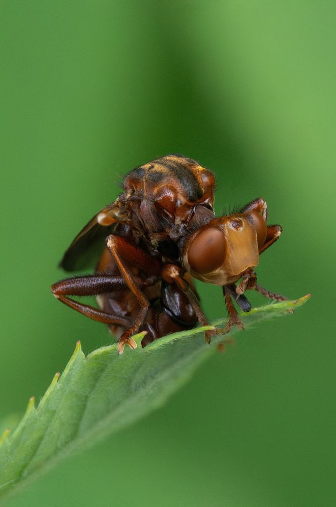 Photograph by Ольга Таланцева