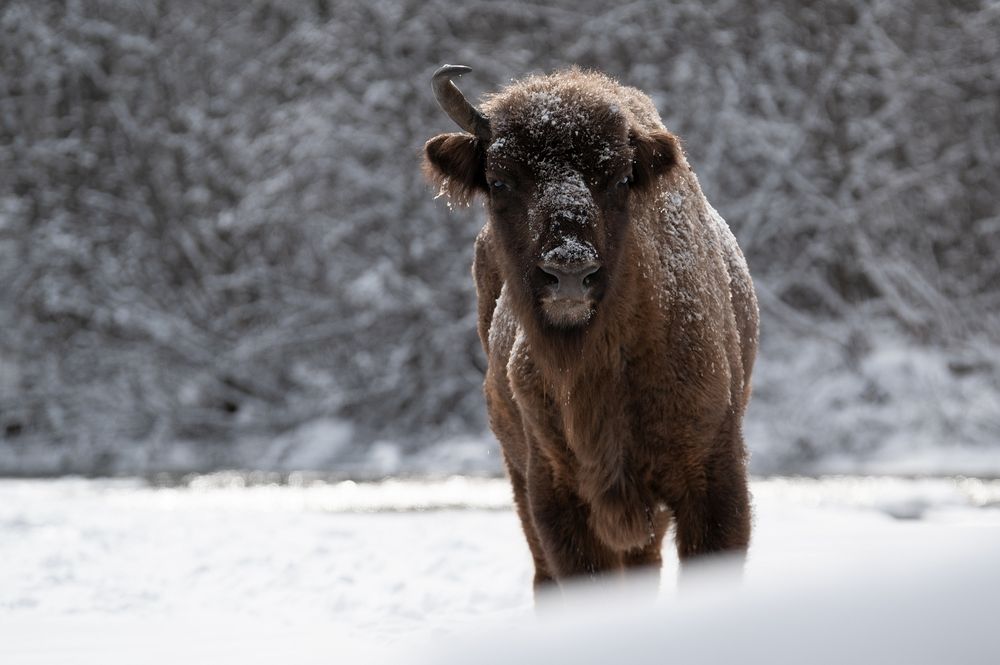 Photograph by Арсен Алабердов