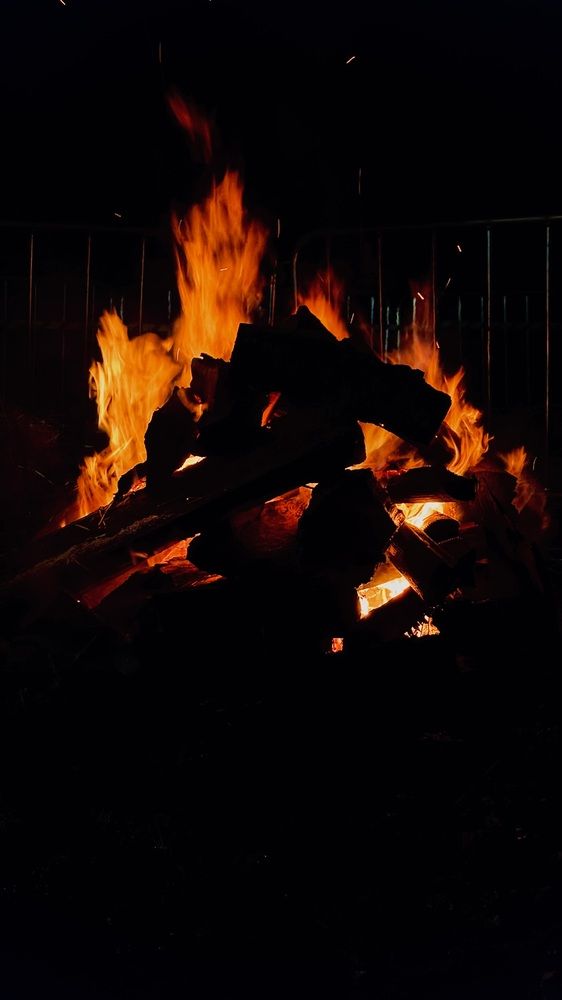 Photograph by Светлана Родионова