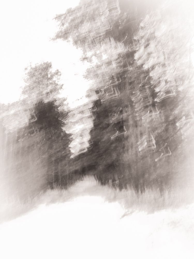 Photograph by Вера Рябинина