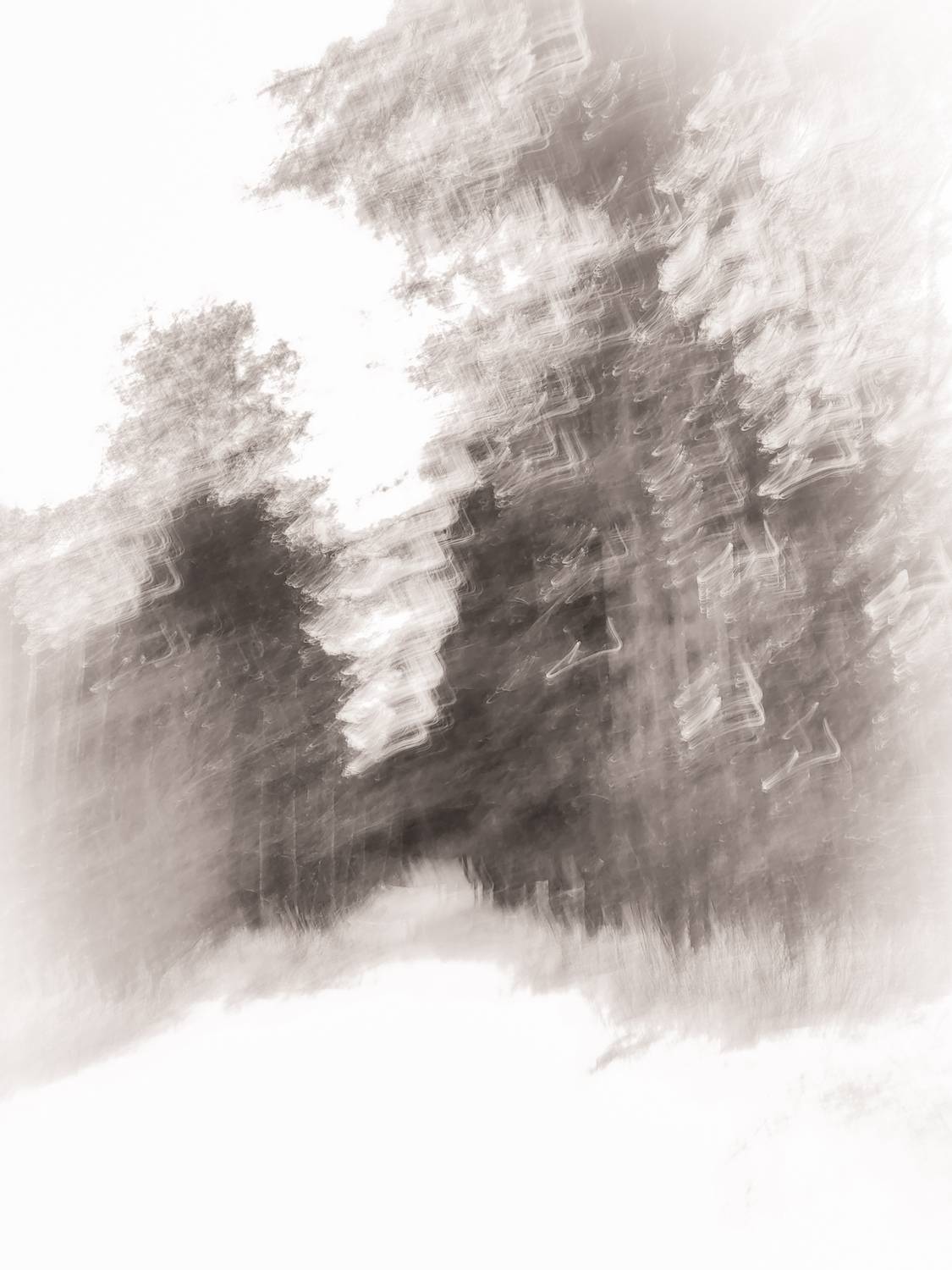 Photo #11922156