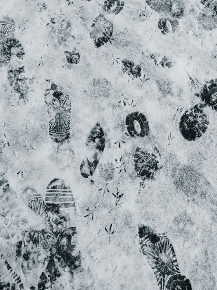 Photograph by Вера Рябинина