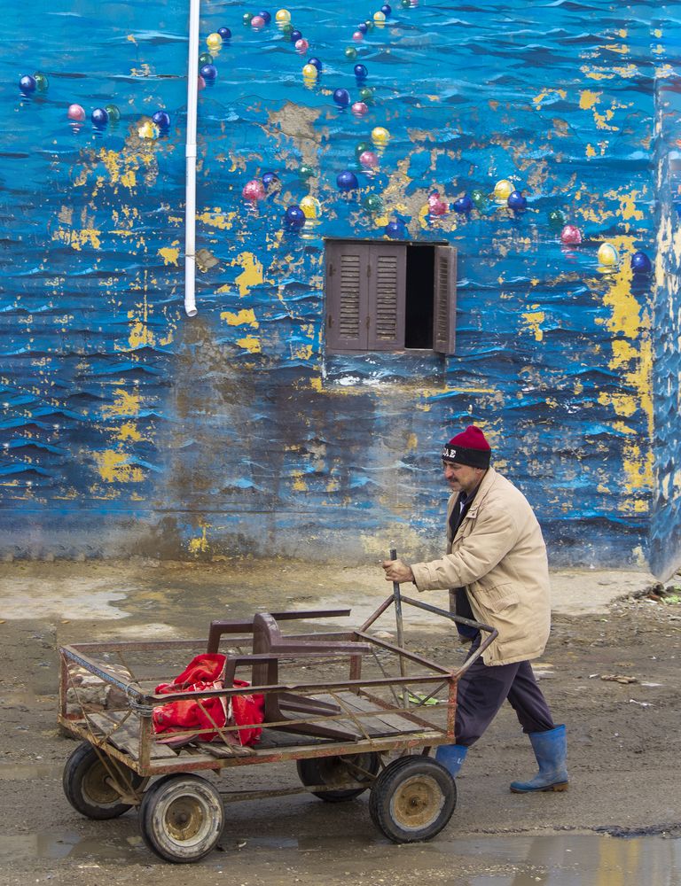 Photograph by omnia Ahmed