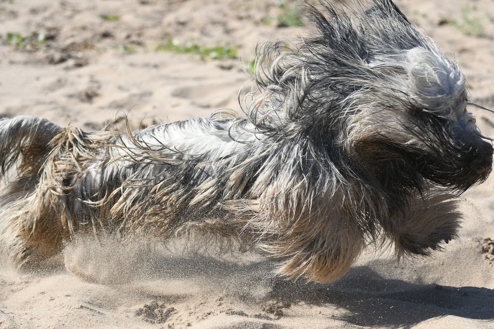 Photograph by Владимир Колесников