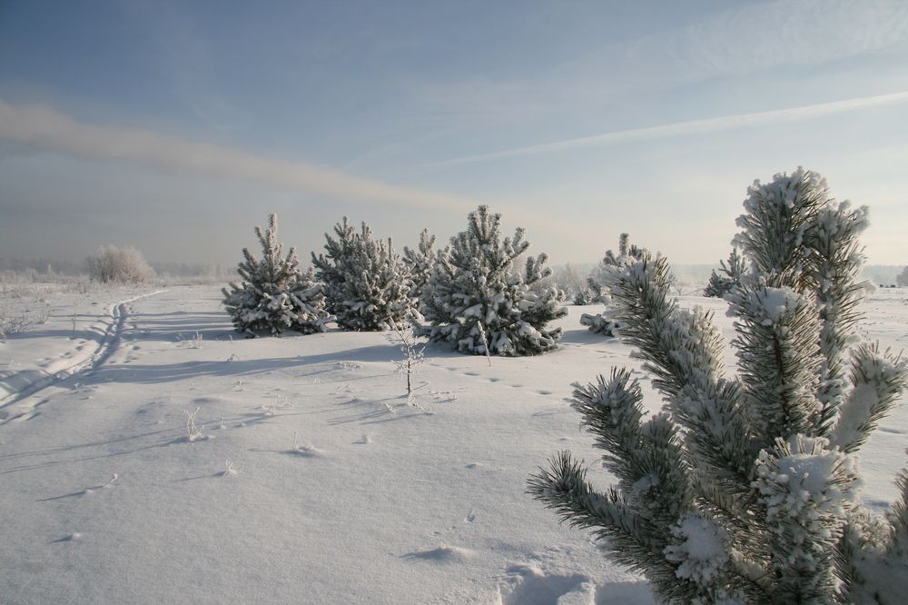 Фотография автора Sergei Globa