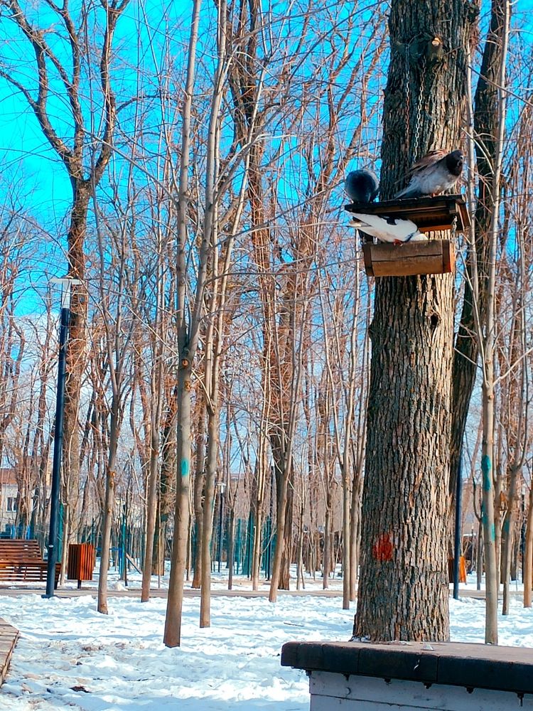 Photograph by Владислав Качан