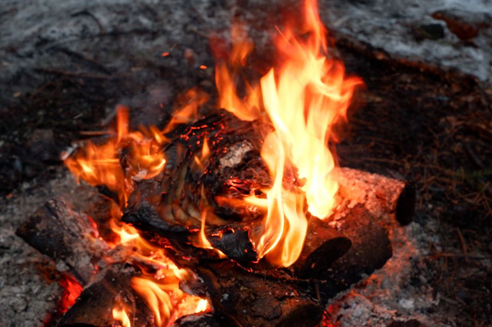 Фотография автора Наталья Липовская