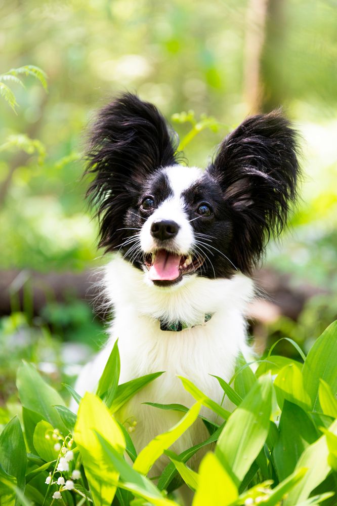 Photograph by Виолетта Бастет