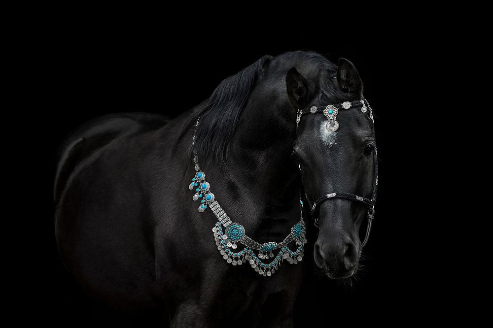 Photograph by Ольга Смирнова