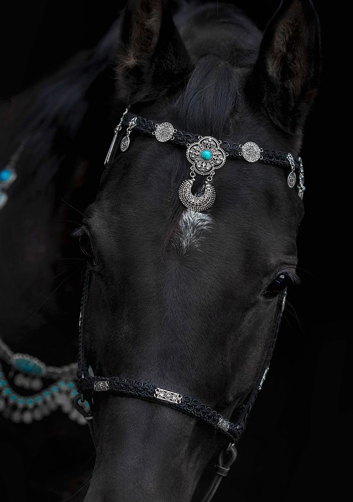 Photograph by Ольга Смирнова