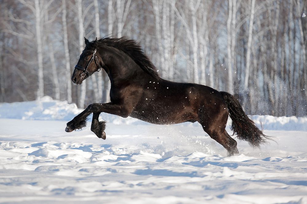 Photograph by Ольга Смирнова