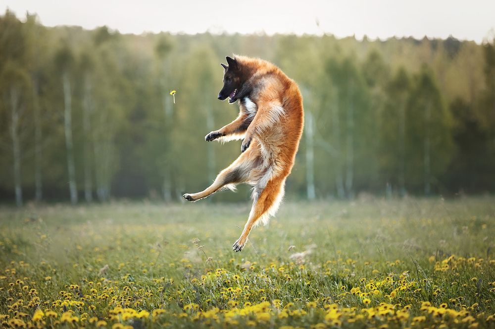 Photograph by Ольга Смирнова