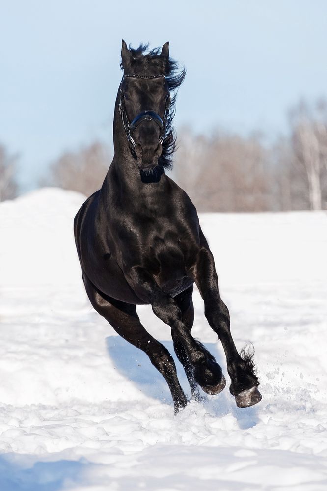 Photograph by Ольга Смирнова